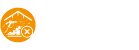 Open Cell Spray Foam Removal